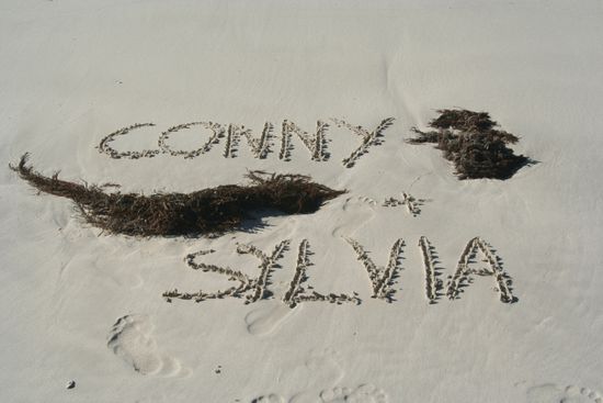 wir besuchten mehrere Strände am Knoll Drive, wunderschön!