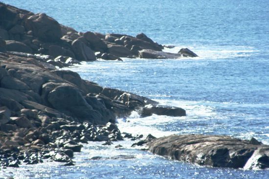 auf zum Middelton Beach