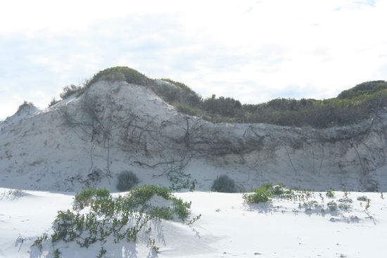 Cape Le Grand Nationalpark