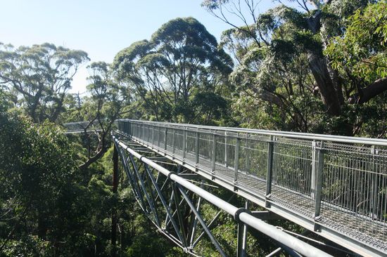 hier sieht man wie die Rampe in die Bäume führt! Wahnsinn!