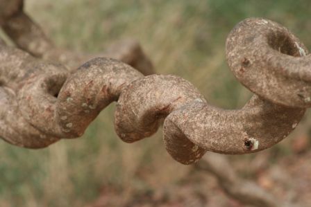 Killing Fields