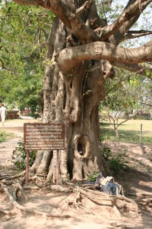 Killing Fields