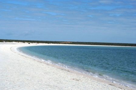 Shell Beach - das weiße ist kein Sand, sondern Muscheln