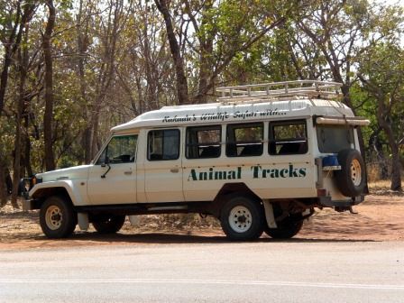 unser Fahrzeug für die Animal Track Safari!