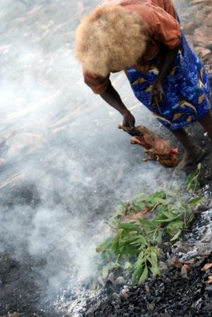 .....dann wurde das Fleisch auf die heißen Kohlen gelegt, darunter und darüber Blätter die wir zuvor im Wald gesammelt hatten...
