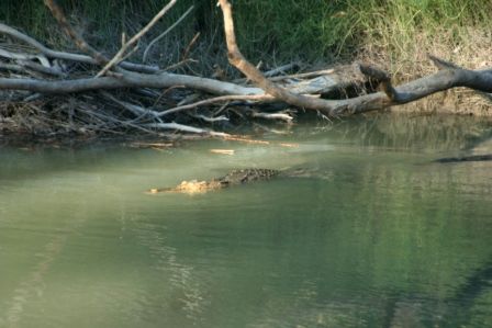 beim East Alligator River / Cahills Crossing