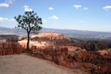 Blick in den Canyon