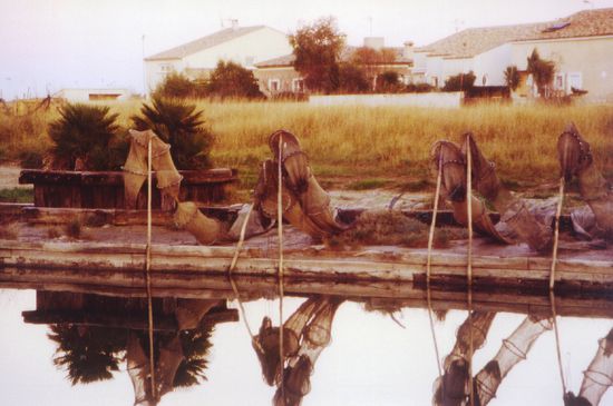 wir beobachteten Fischer bei der Arbeit