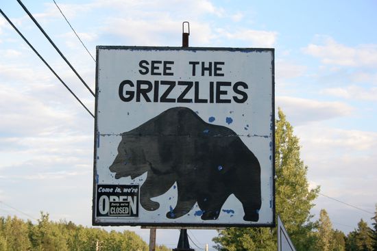 solche haben wir zum Glück nicht gesehen