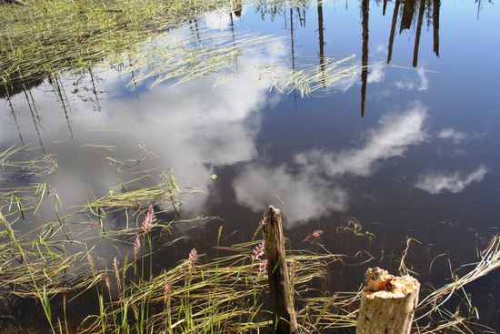 tolle Spiegelung im ruhigen Wasser