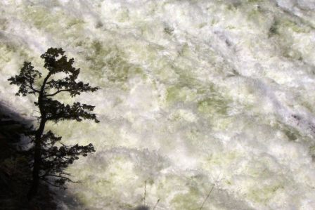 wild ist das Wasser aber auf jeden Fall