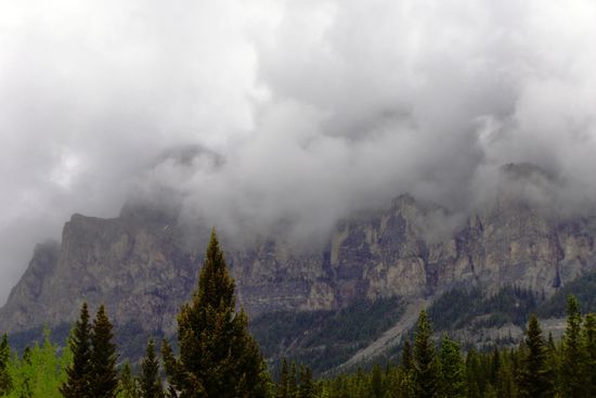 ...so sahen wir ihn im Nebel.