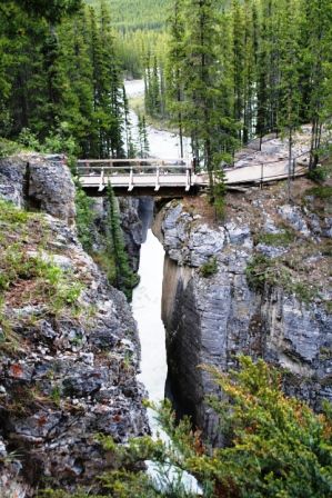 auf dem Weg zu den Althabasca Wasserfällen