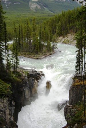 Sunwapta Wasserfall