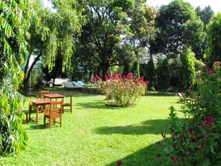 unser tolle Garten im Hotel hier