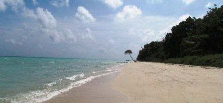 Beach # 3 - hier gleich 150m ins Landesinnere wohne ich
Beach bei Flut und hier.....
