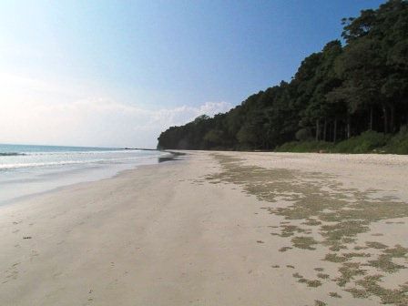 Beach #7