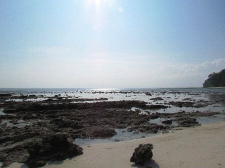 Neils Cove