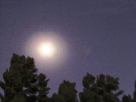 nach dem Sonnenuntergang gab es auch noch eine Vollmondnacht für uns