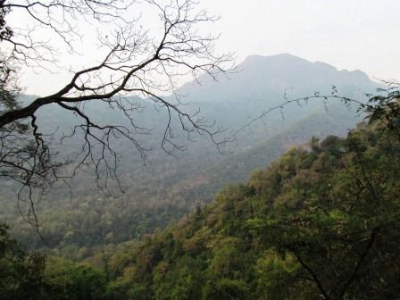 auf dem Weg nach Ooty