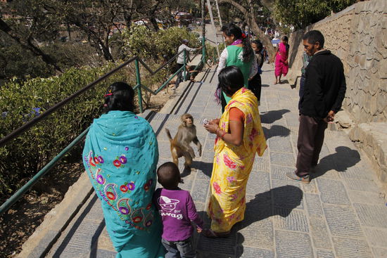 Auf der Rückseite geht es wieder runter und noch zum Kloster. Die Affen sind teilweise recht aggressiv, einer wollte Conny sogar die Zigaretten klauen. 