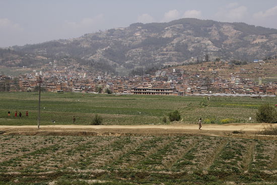 Vom Grundstück aus sieht man direkt zur Schule, die dann in Laufdistanz liegt.