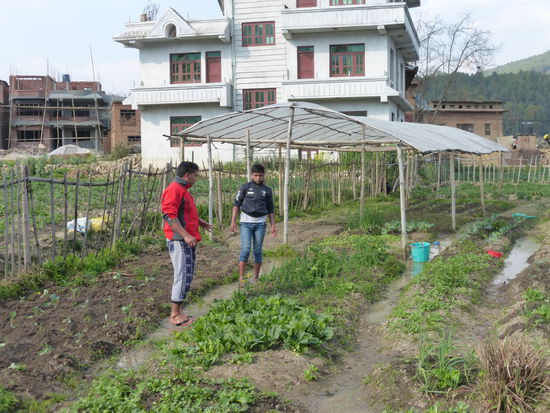 die Größeren Jungs helfen Suresh im Garten.