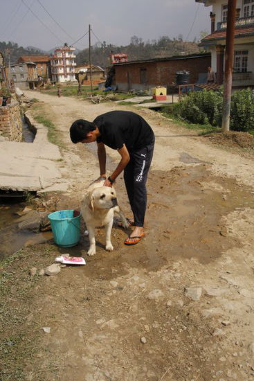 Auch Karma will sauber sein!