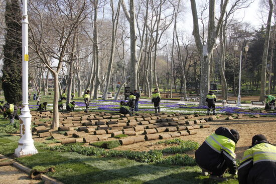 hier wird gerade neuer Rasen verlegt