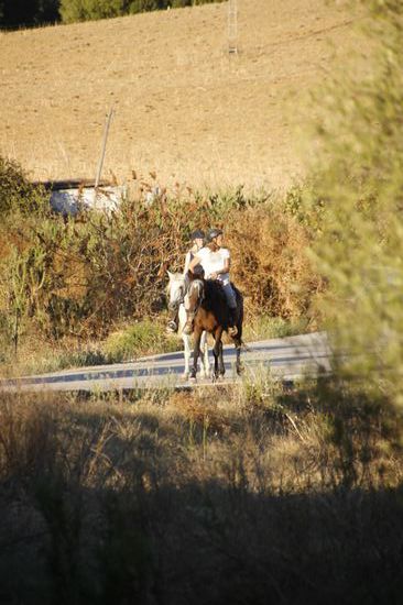 Steffi und Susan kommen vom Ausritt zurück