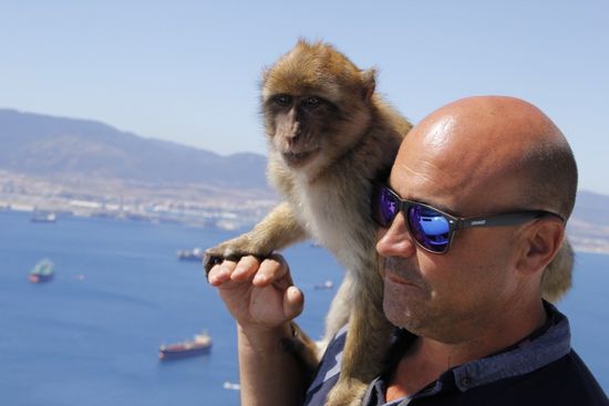 unser Fahrer Paul weiß wie man Affen anlockt und wie sie wieder verschwinden