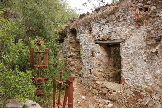 Im Inneren der Mühle, das Dach fehlt vermutlich schon lange, es ist alles schon recht zu gewachsen mit Büschen! Hinein kommt man nur indem man sich durch Buschwerk kämpft!