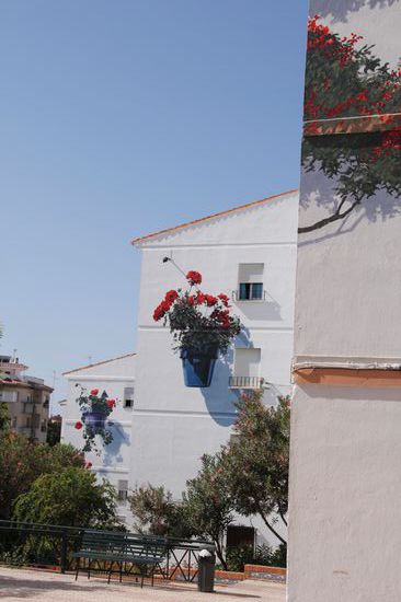 neben dem Orchidarium waren einige Häuser mit solchen Blumentöpfen bemalt. Das sieht man hier in Andalusien immer wieder, Kunst direkt an der Hausmauer! Sehr schön!