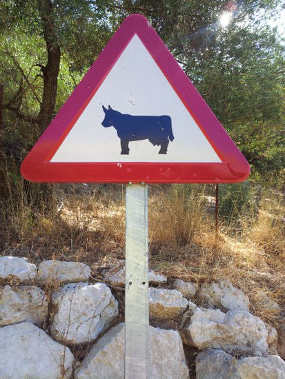 dieses Straßenschild sieht man hier überall