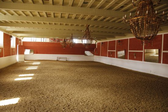 Die Reitschule