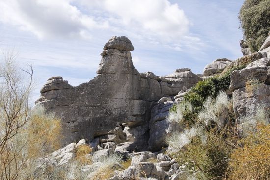wer erkennt das Tier, das dieser Felsen darstellt?