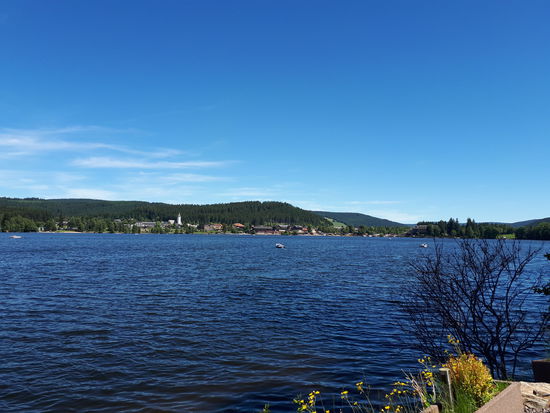 Der Titisee vom Campingplatz aus. Da hinten liegt der Ort Titisee wo wir jetzt hin radeln.