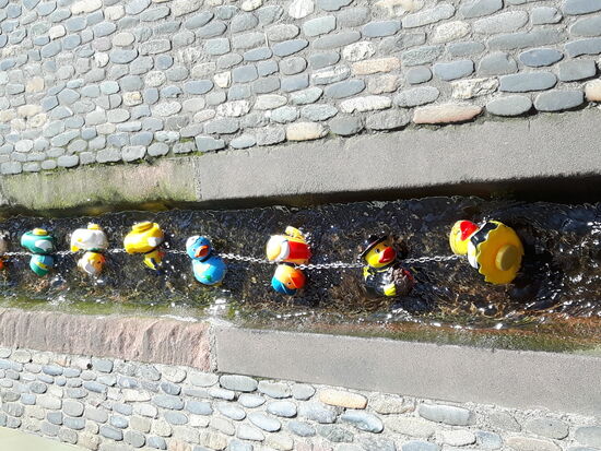 überall in den Straßen fließt das Freiburger Bächle (offenen Wasserläufe, welche krystallklar in den Straßen fließen), was der Stadt für eine angenehme Temperatur verhilft.