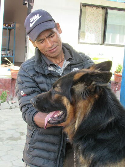 Didi kümmert sich auch um die ganzen Tiere hier, wenn die Hühner ihren Auslauf bekommen muss der Hund an die Leine, sonst würde er sie rum jagen und wer weiß was! Die anderen 2 Hunde vertragen sich mit Katze und Hühnern