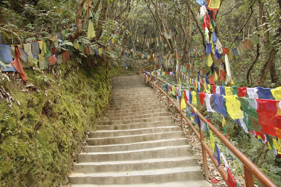 und hoch geht es die ganzen Treppen