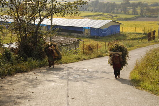 Hier tragen die Frauen echt schwere Lasten