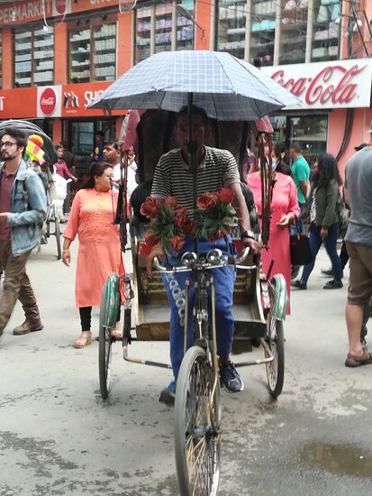 überall sieht man hier solche Fahrrad Rikschas