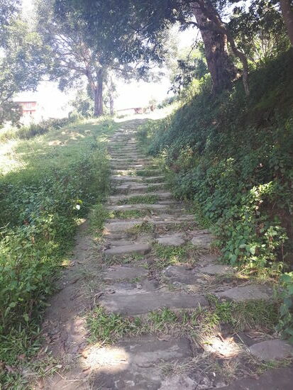 Treppen in schlechten und guten Varianten müssen wir erklimmen