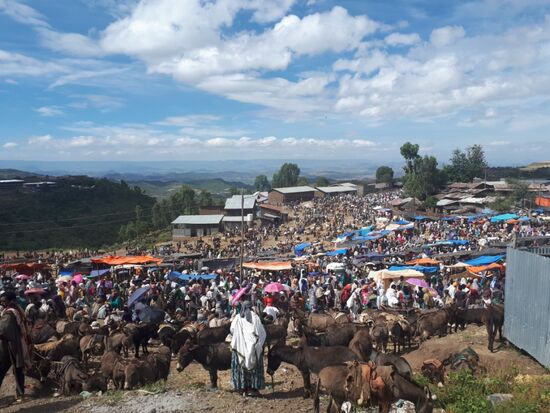 als wir einmal durch den Markt durch sind noch ein Blick zurück - Wahnsinn!