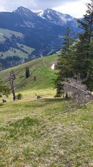 jetzt geht's wieder hinunter