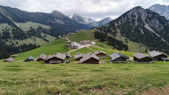 Blick auf die Alpe mit seinen Hütten