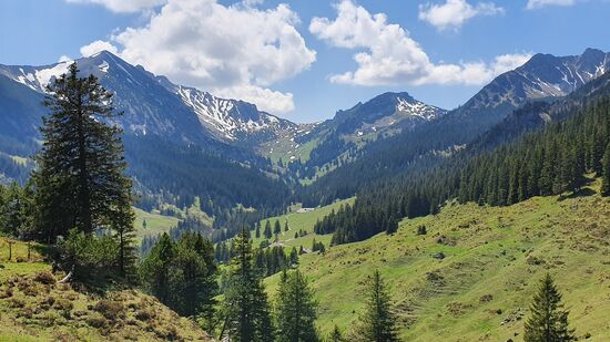 hier sieht man zur Liechtensteiner Grenze