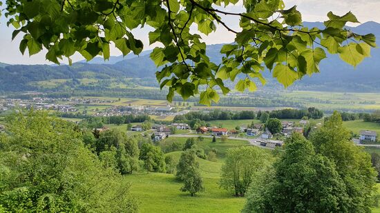 Aussicht ins Tal auf den Walgau