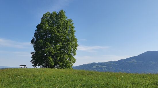 Von hier kann man die Aussicht genießen!