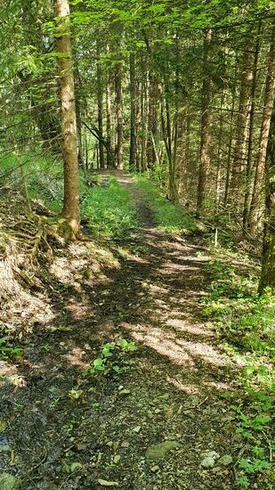 auf schmalen Wegen geht es zurück